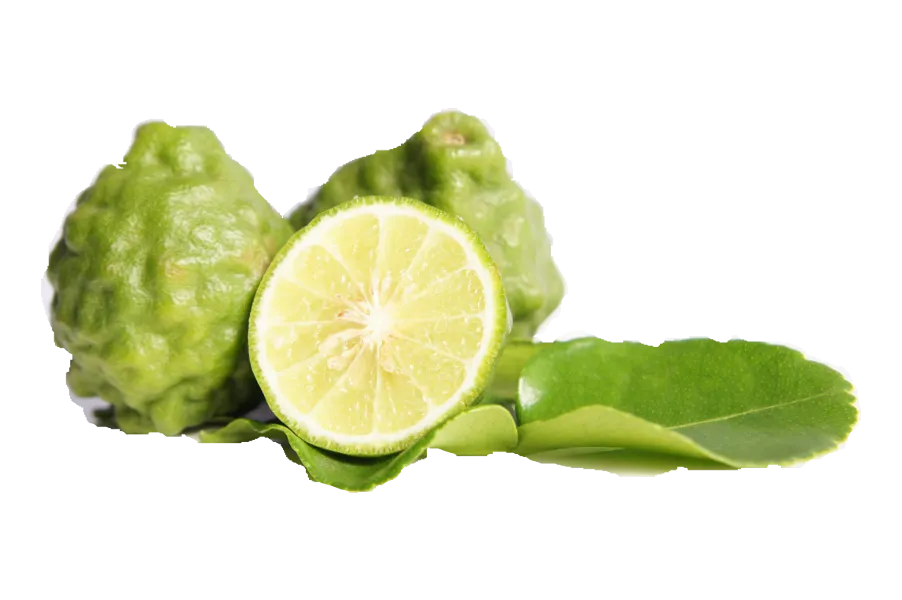 kaffir lime