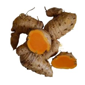 wild turmeric