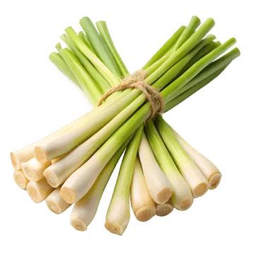 lemongrass