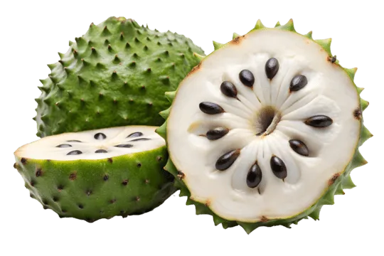 soursop